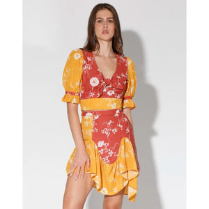 nwt walter baker floral Crystal Skirt, Carnation Mix - Printed Dobby size 4